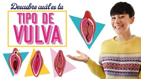 vulvas grandes|Tipos de vulvas y vaginas: conoce la tuya .